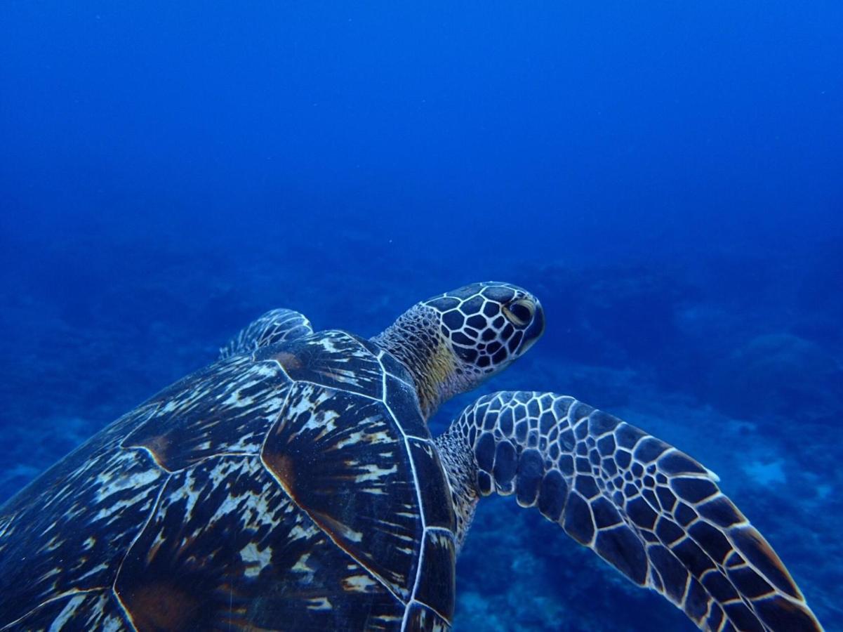 Good Hostel 好棧 Green Island Luaran gambar